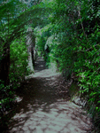 0004 Karangahake Ohinemuri walk_thumb.gif